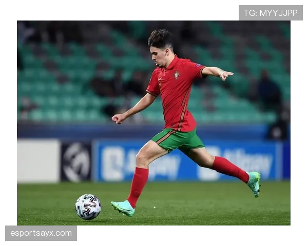 维蒂尼亚爆发可能性与关键节点分析